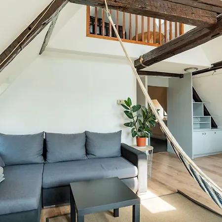 Atypical And Cosy 80m2 *downtown* Lejlighed Strasbourg